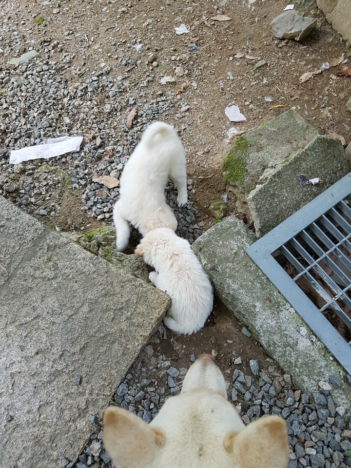 숨바꼭질