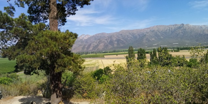 Graneros