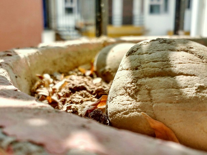 My garden stone in sunlight.