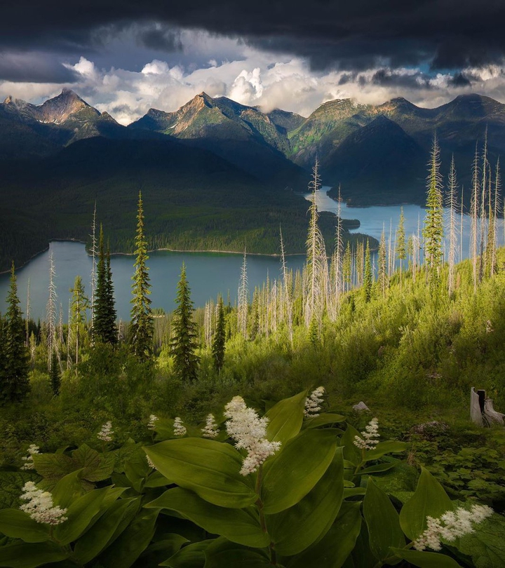 west montana