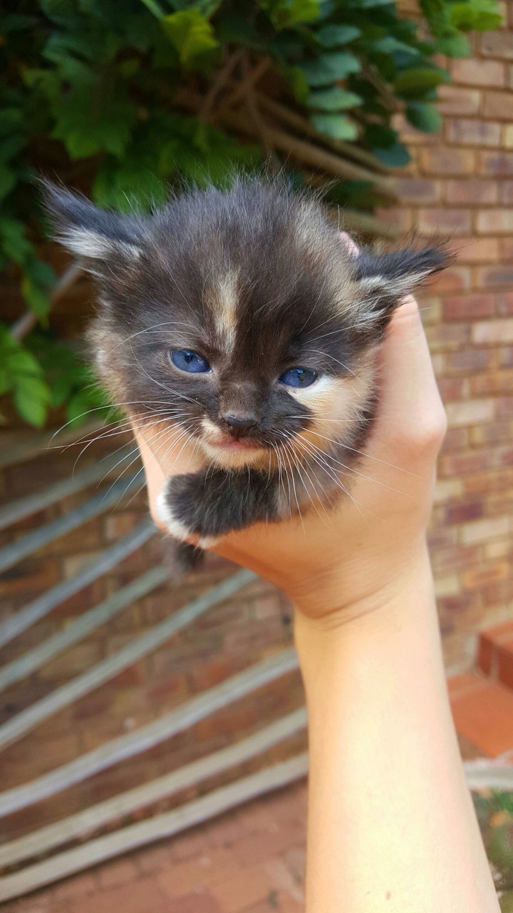 Cute