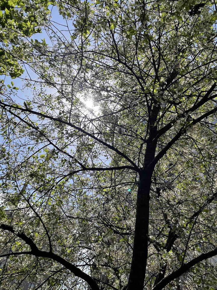 Russian Spring