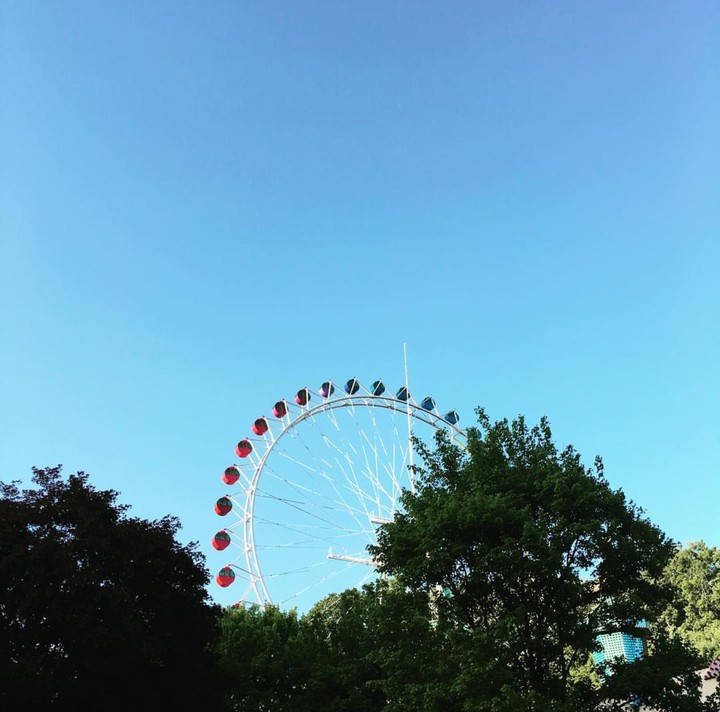 꿈