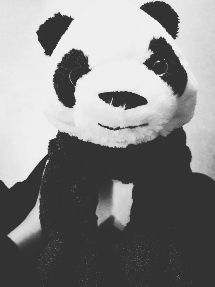 i love panda ♡♡♡