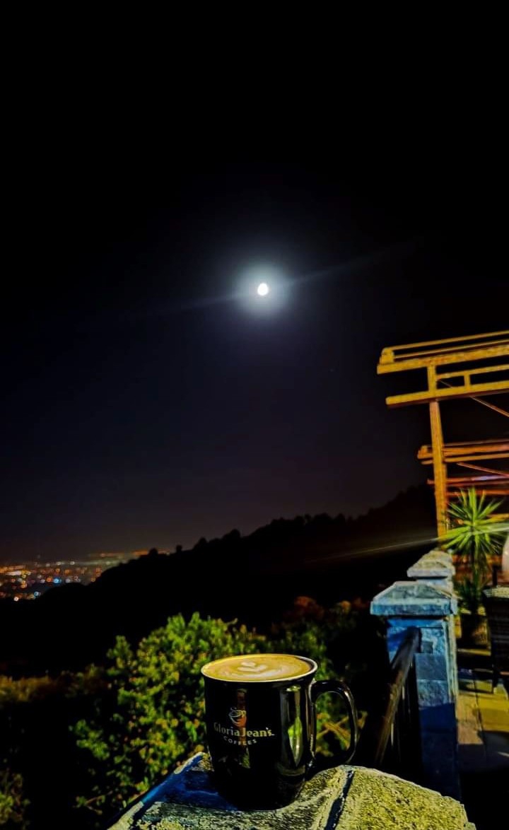 Monal