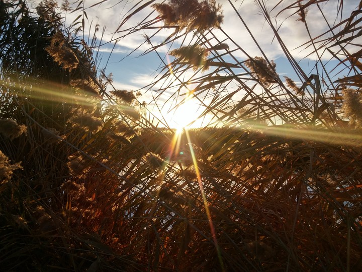 when the sun goes down