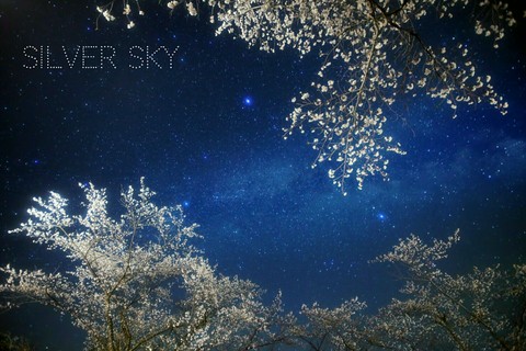 Silver Sky.