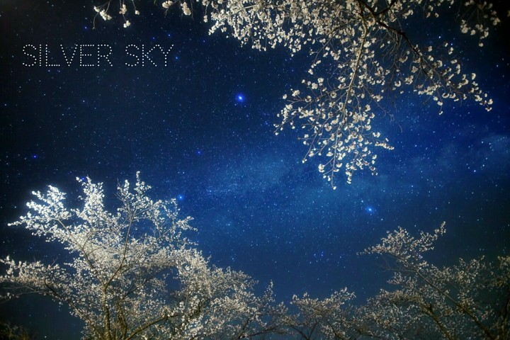 Silver Sky.