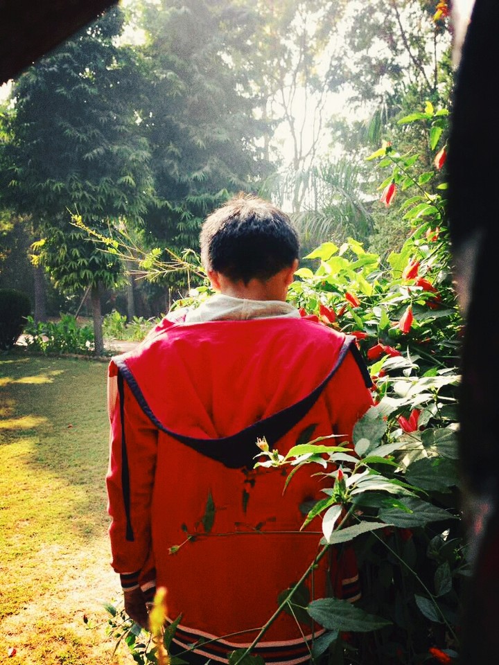 Solitude