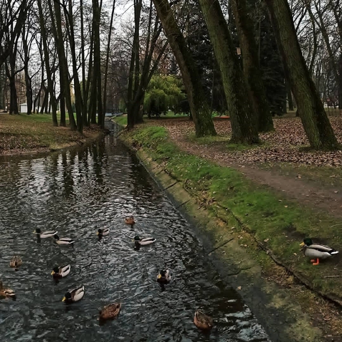 парк Горького