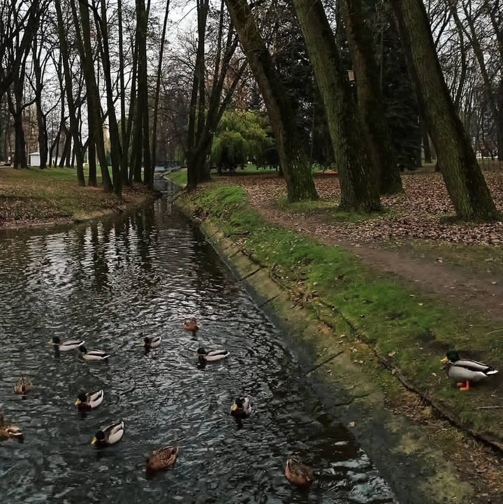 парк Горького