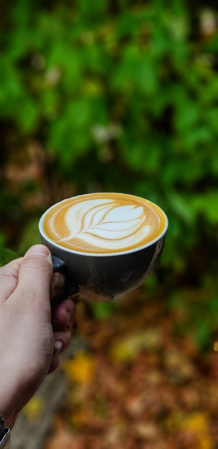 Tullip coffee