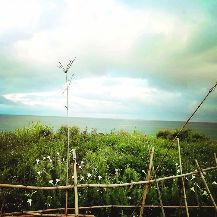 In quietness and trust is our strength.