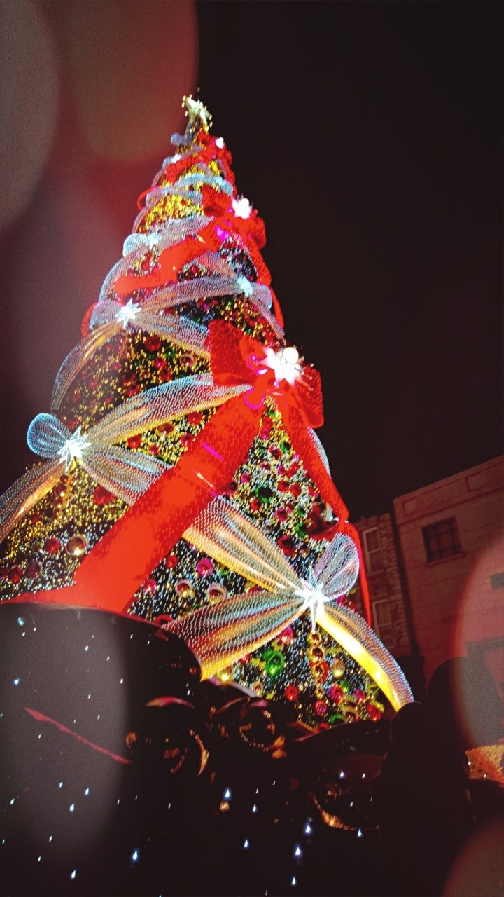 Christmas Memories