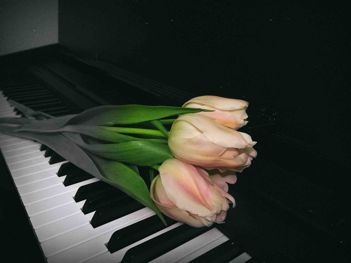 piano