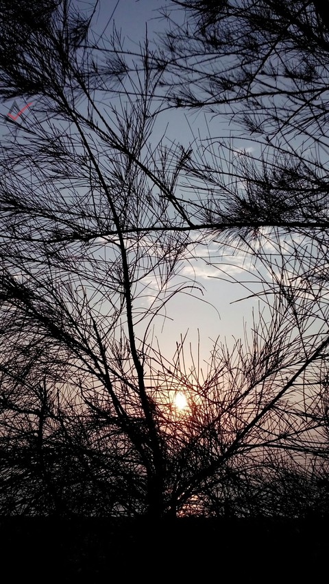 Sunset Beach