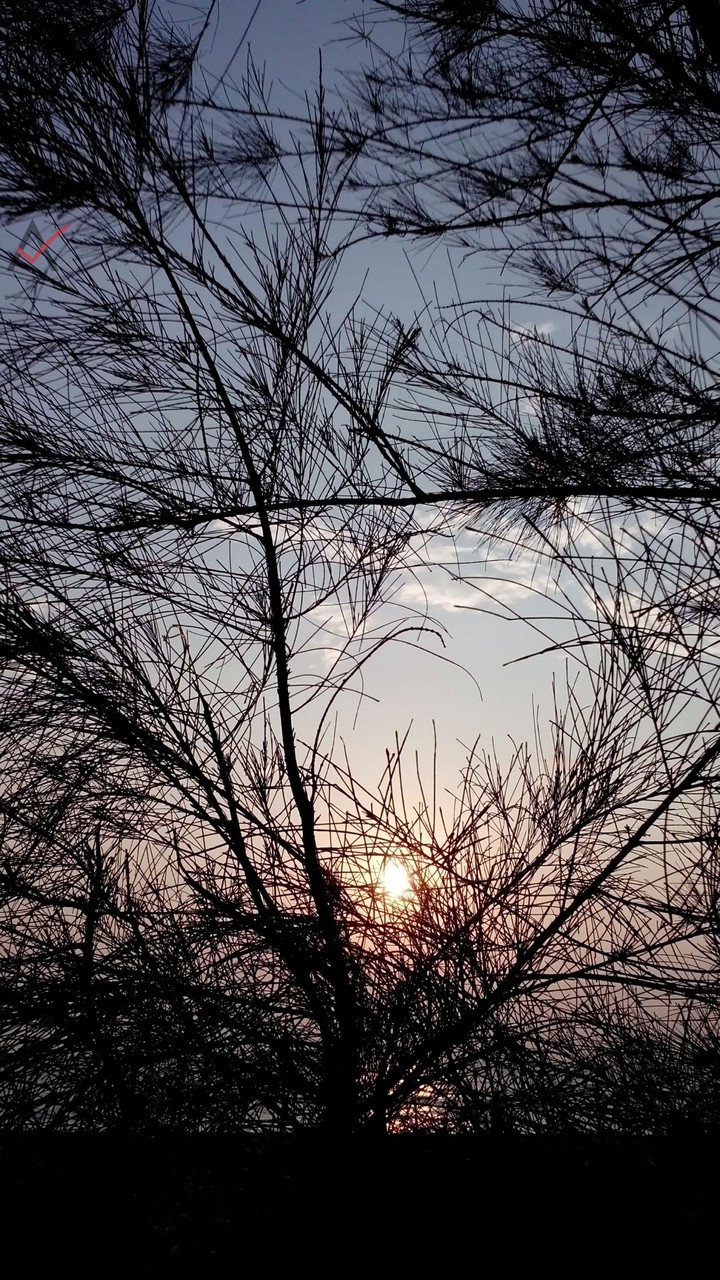 Sunset Beach