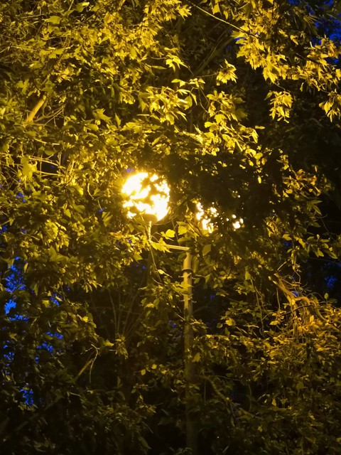 фонарь