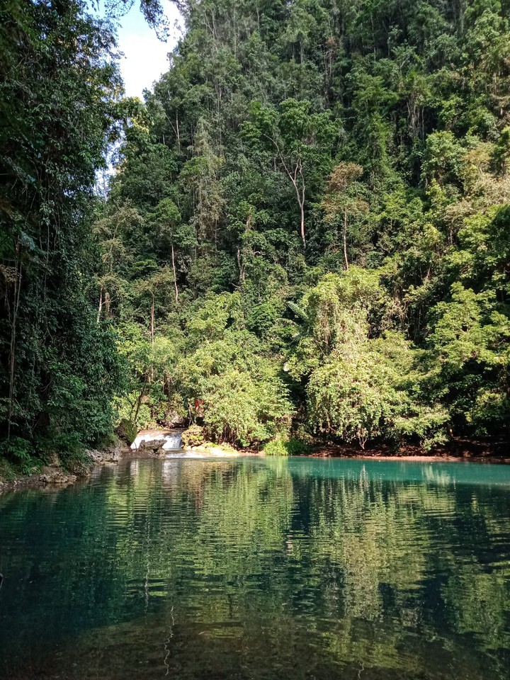 Nature