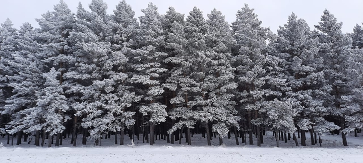 winter