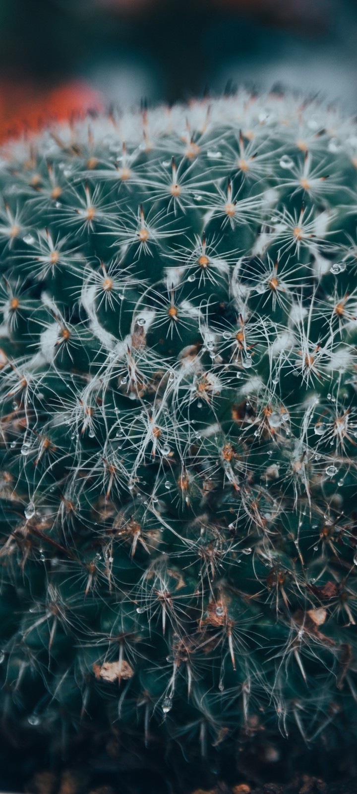 my background