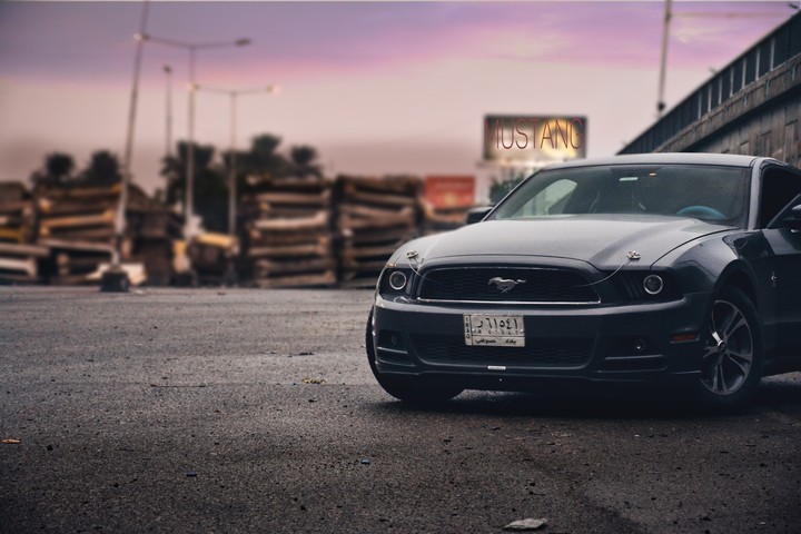 mustang