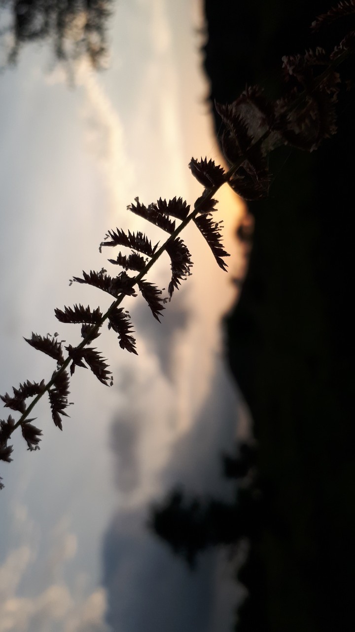 evening vibes
