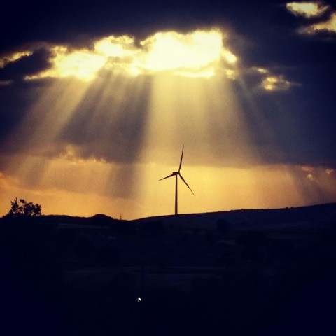 Sunlight