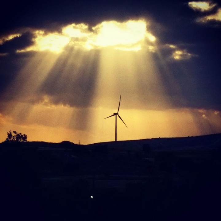 Sunlight