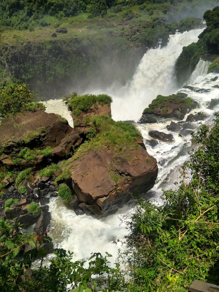 Falls