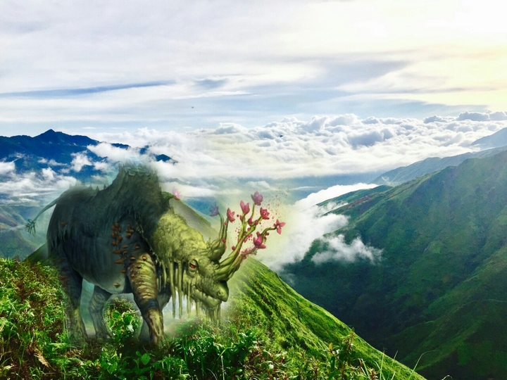 One of the most animals beautiful