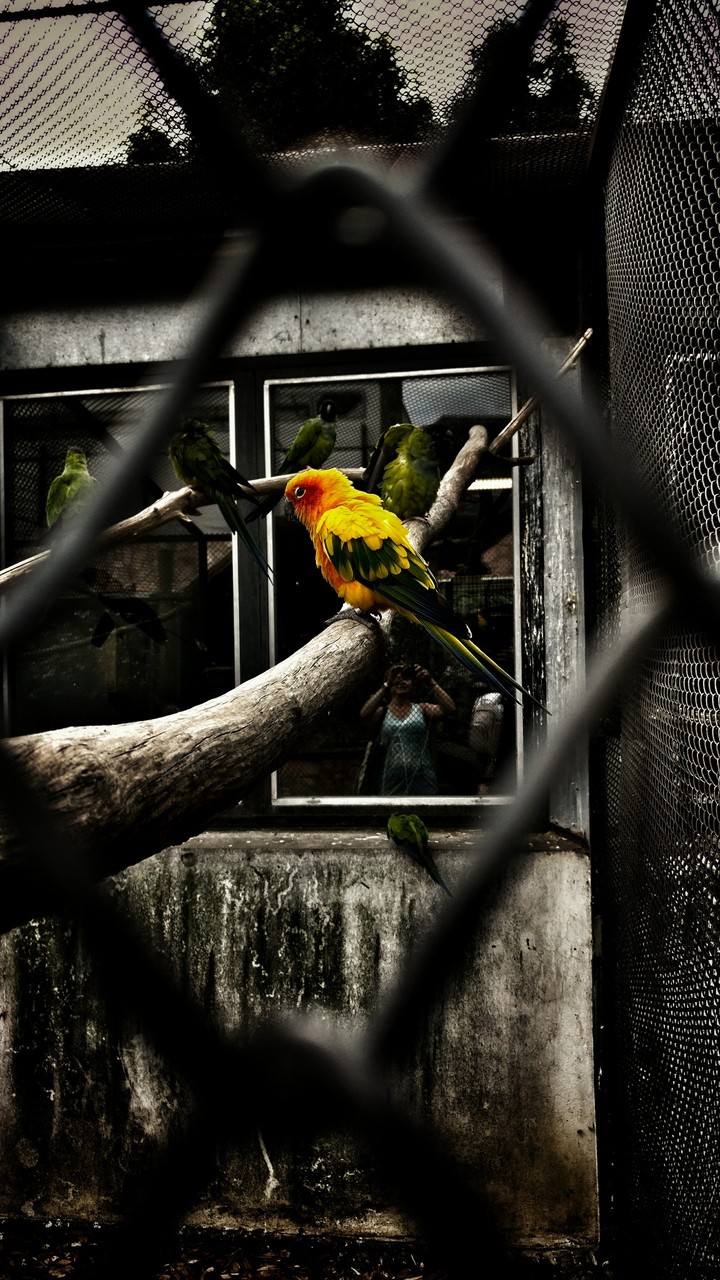 Behind walls