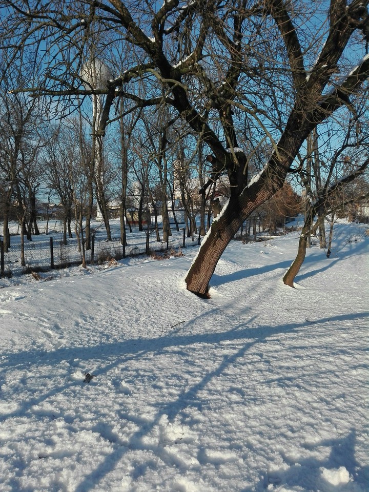 Winter in Saturday