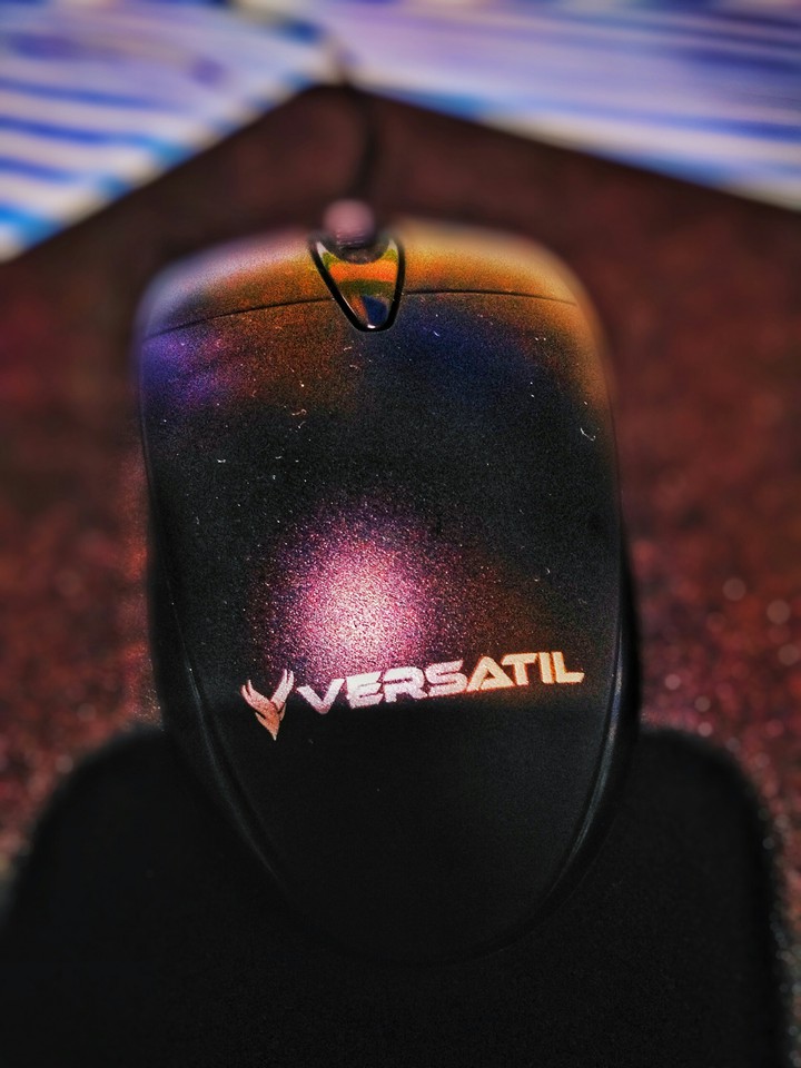 Computer Mouse