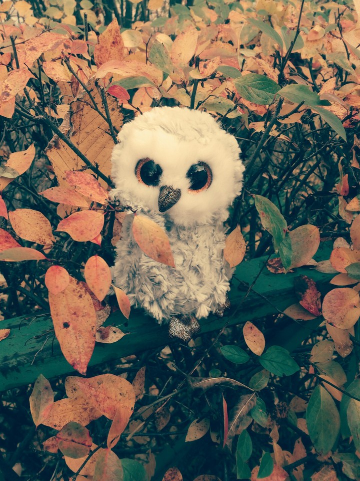 Autumn