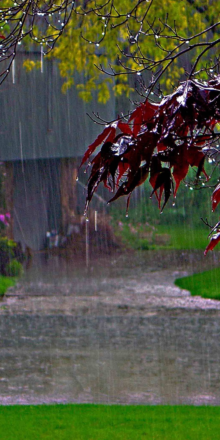rainy