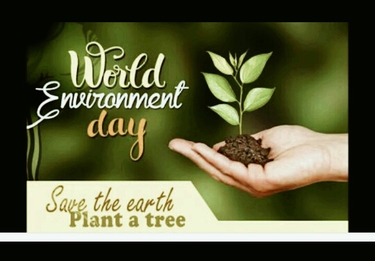 world environment day