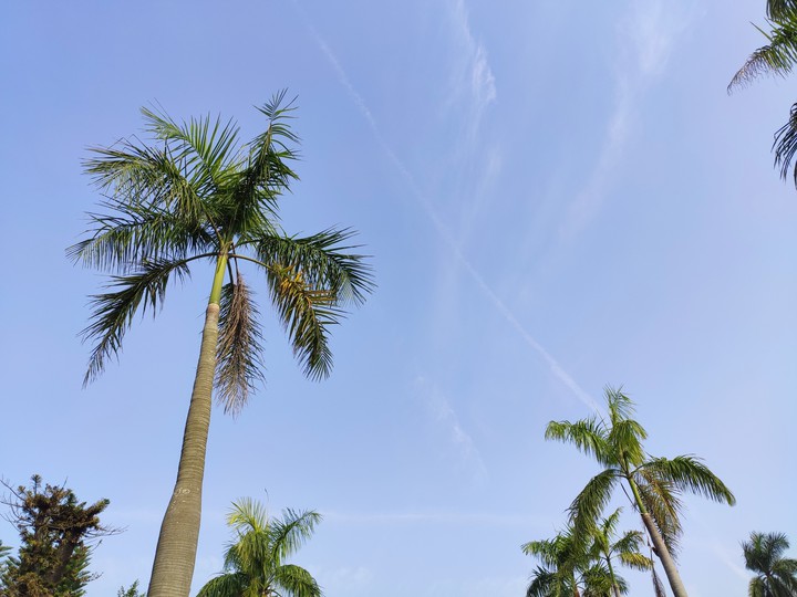 Sky
