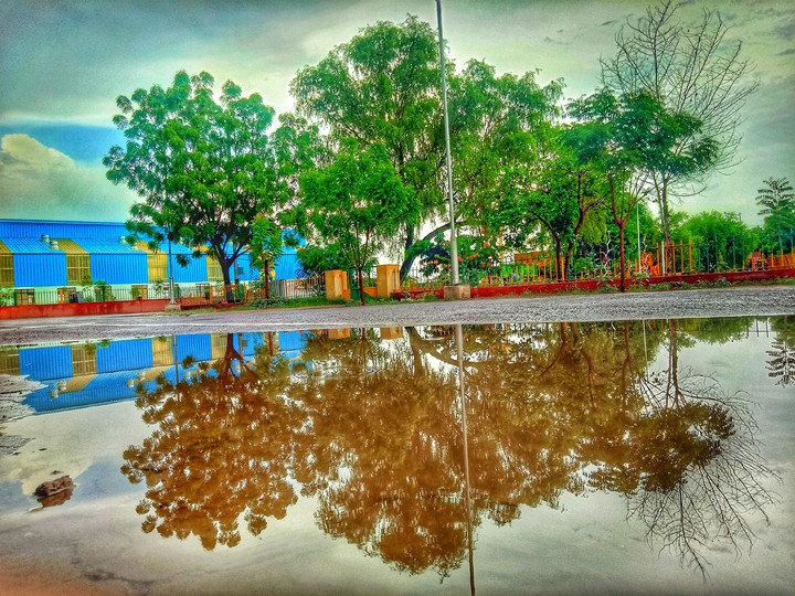 Mosam