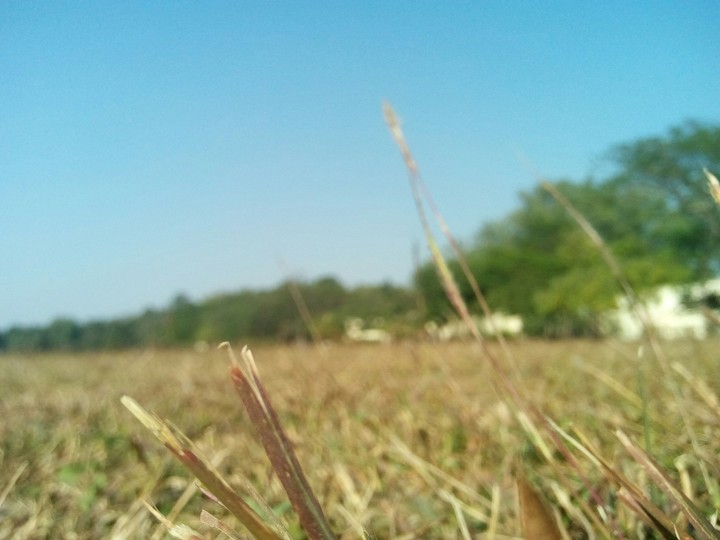 click