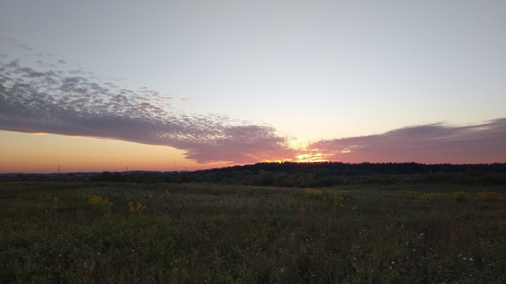 Landscape, skyview, field, forest