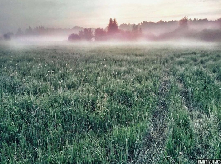 Foggy