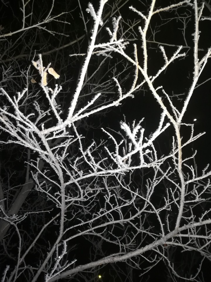 snow