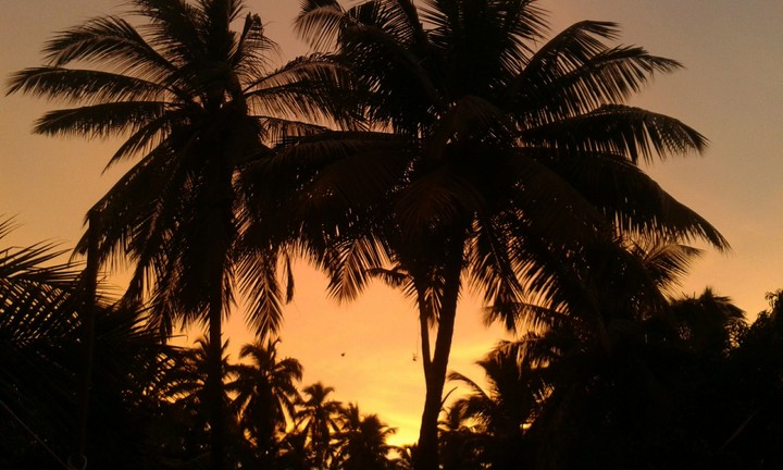 sunset