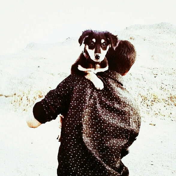 #Doglove