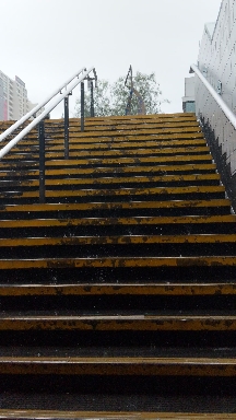 Tarde de lluvia