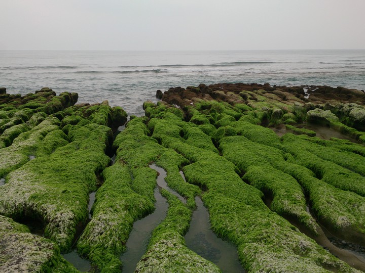 coast
