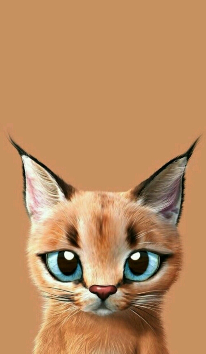 cutiepie