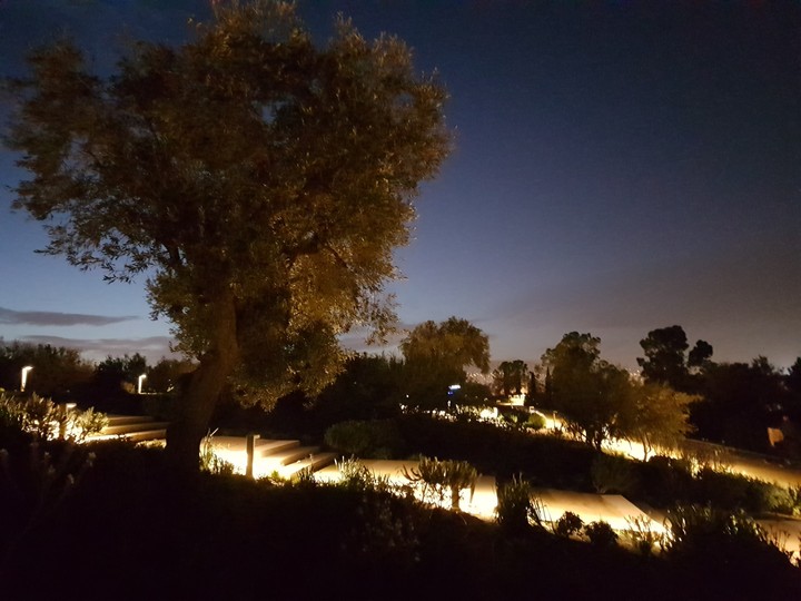 Night walk