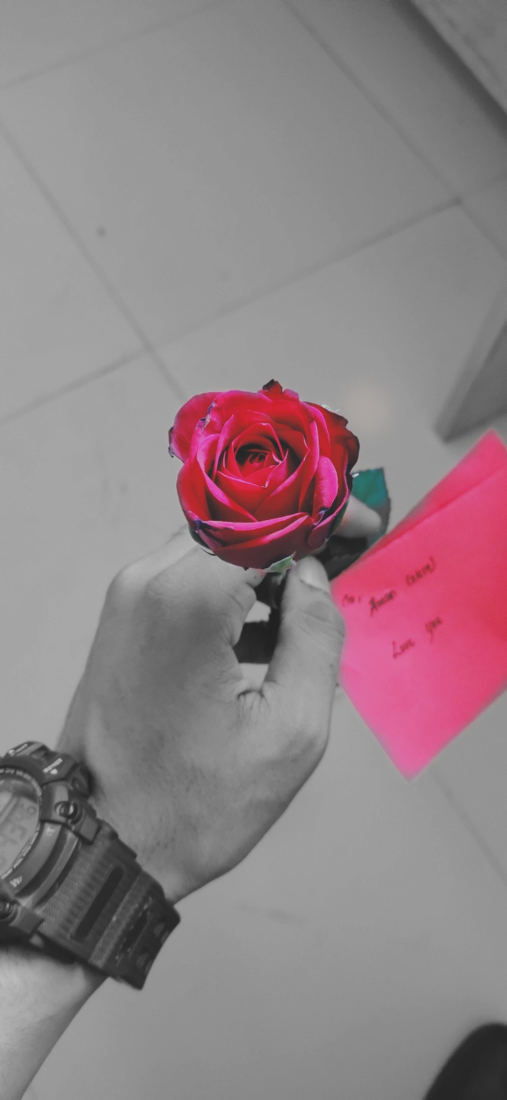 Rose